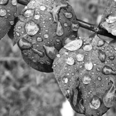 Labor Hospitalaria - Cuidar al final de la vida