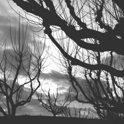 Labor hospitalaria - Compromiso profesional ante el sufrimiento