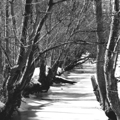 Labor Hospitalaria - El deseo de adelantar la muerte