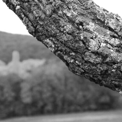 El sufrimiento insoportable al final de la vida