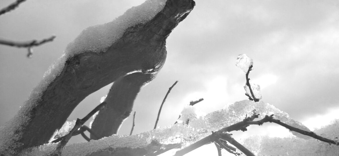 Influencia de la familia