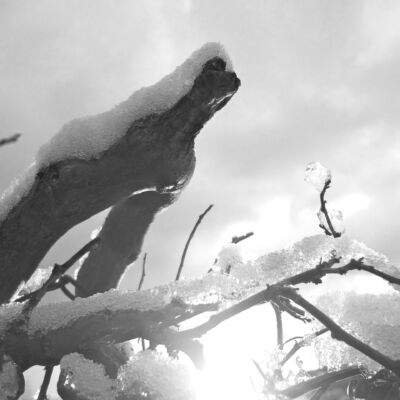 Influencia de la familia