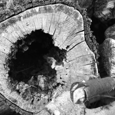 Acompañar desde la espiritualidad / Manejo psiquiátrico clínico