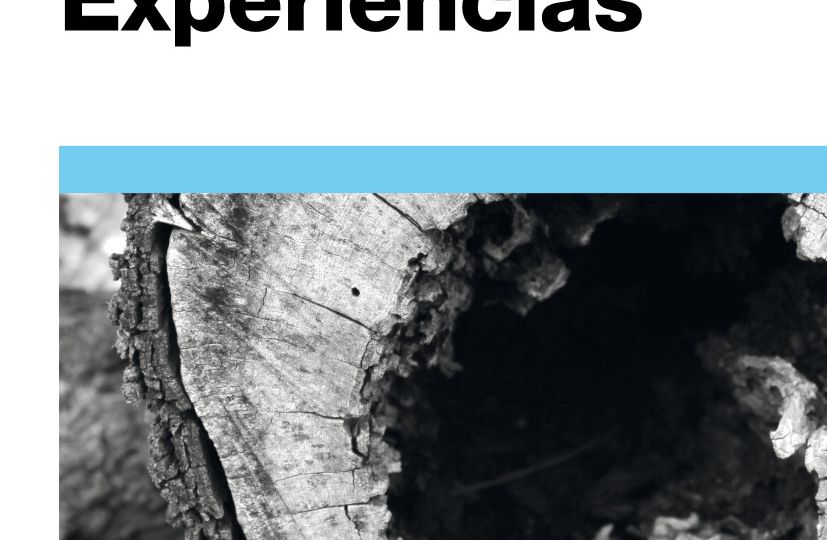 10_Experiencias