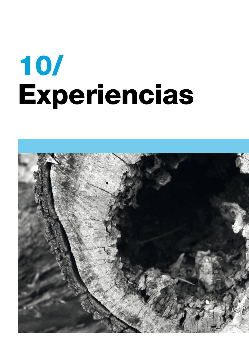 10_Experiencias 331 | Experiencias