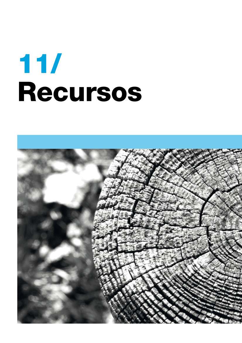 11_Recursos 331 | Recursos