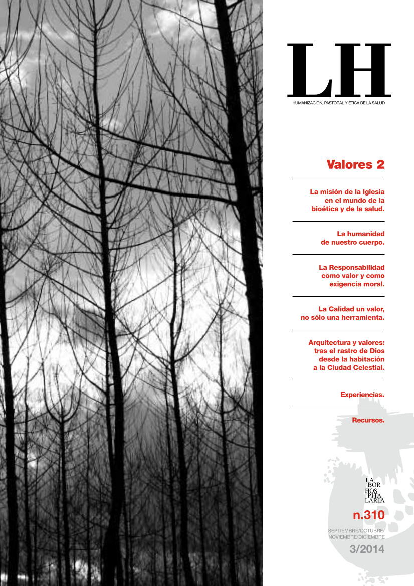 LH_310 NUM.310 | Valores 2