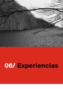 310 | experiencias
