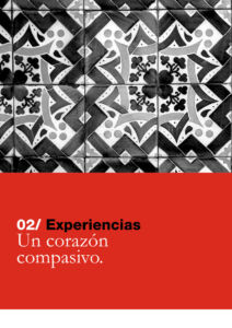 311 | experiencias