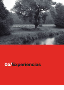 322 | experiencias