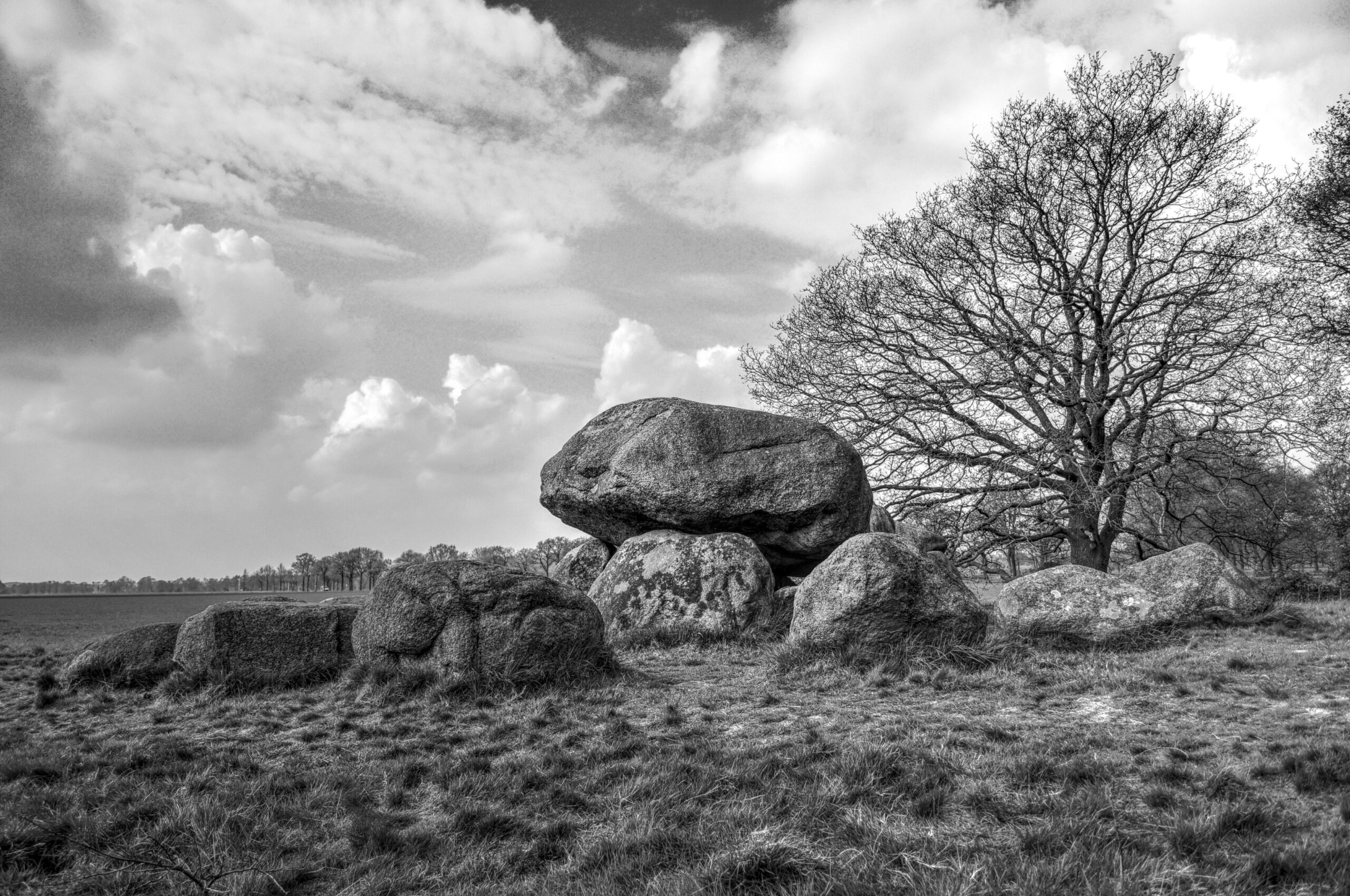 LH 333_art_01 333 | 01 La conciencia moral en la vida humana