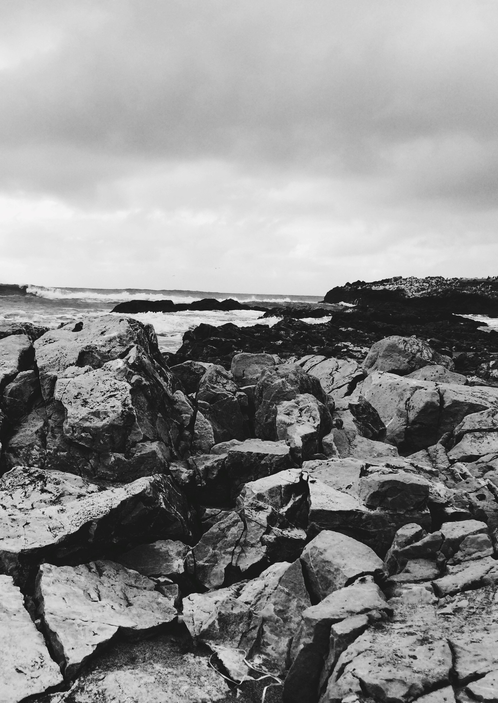 LH 333_pag 09 333 | Editorial - La conciencia ética nos hace humanos