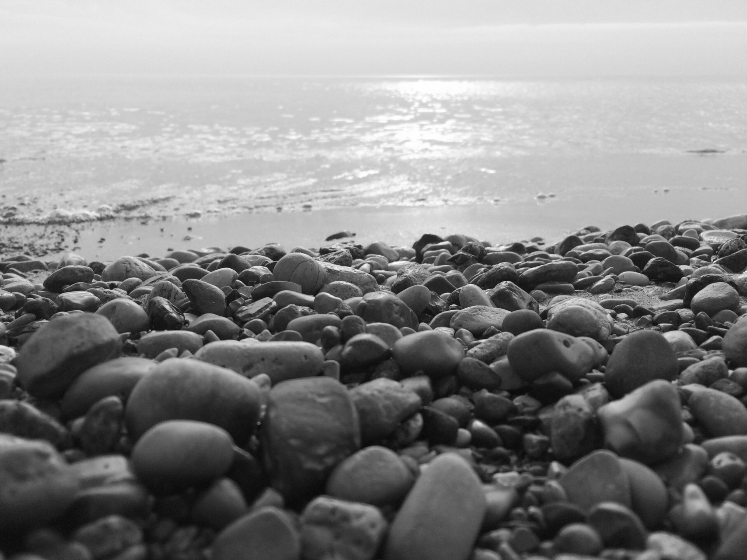 LH_333_portada NUM. 333 La conciencia ética nos hace humanos