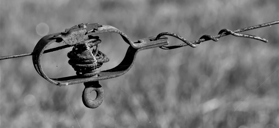 LH 336-337_editorial_pg15