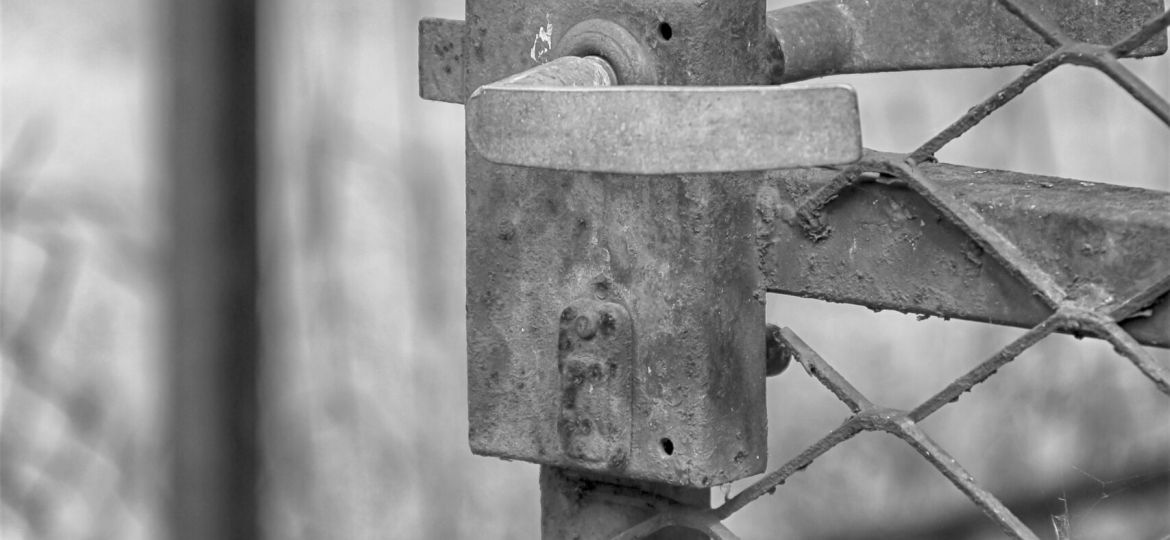 LH 336-337_editorial_pg7