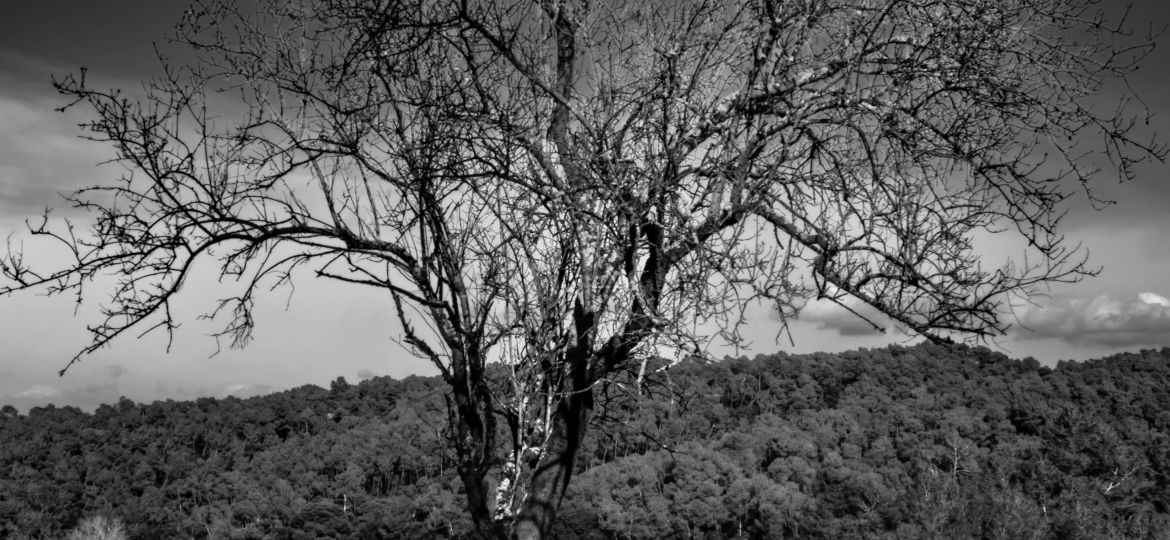 338_art 01_c