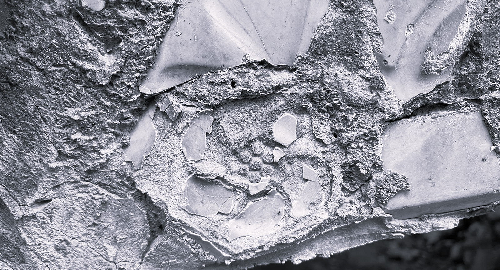 341_pag 11