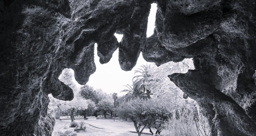 341_pag 15